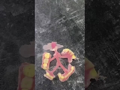 Dentadura parcial flexível da Nesbit para conforto e durabilidade na substituição dentária