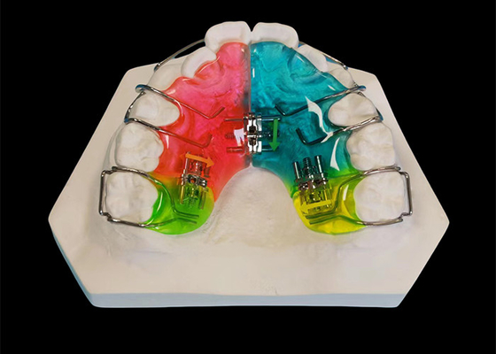 Bom preço Aparelho dental removível clinicamente comprovado, confortável e apto para retenção ortodôntica. on-line